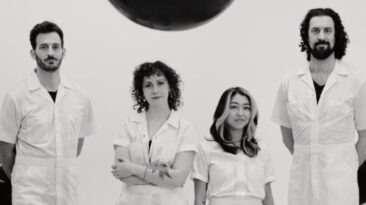 crane wives