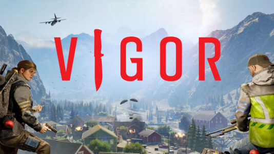 vigor pc
