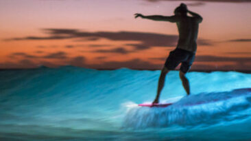 lume cube