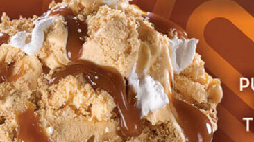 Pumpkin Pie