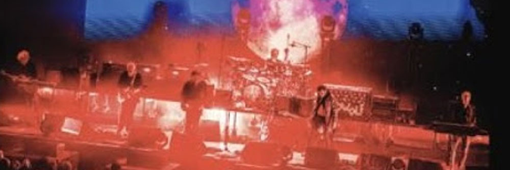 The Cure