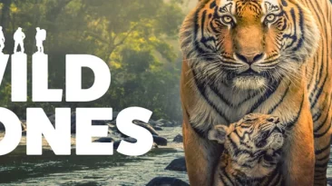 The Wild Ones