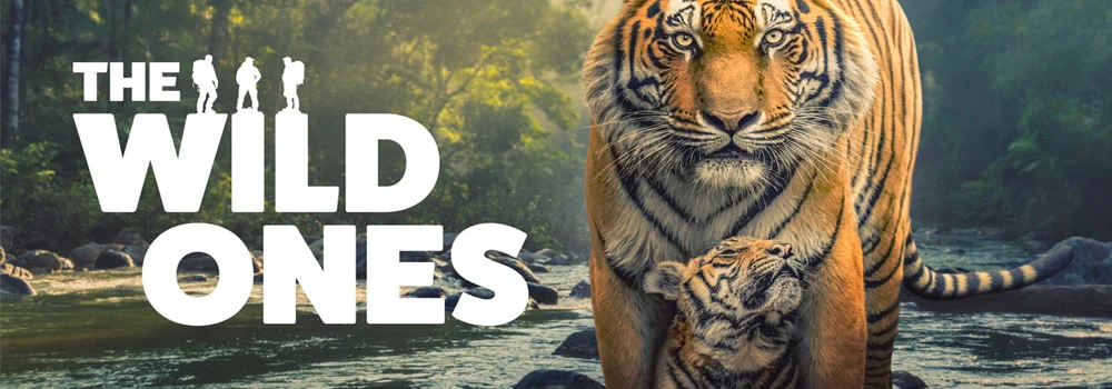 The Wild Ones