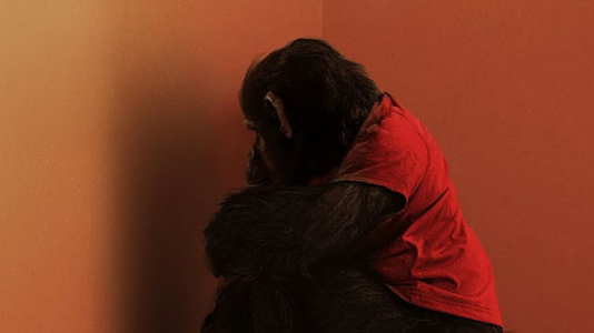 Primate movie