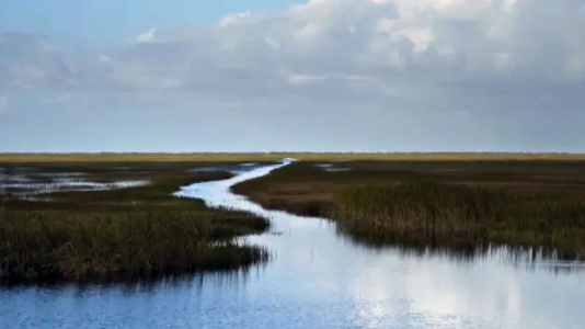 River of Grass