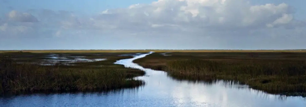 River of Grass