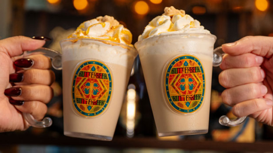 Accio Holidays! Harry Potter Shops in New York & Chicago Unveil Festive Magic