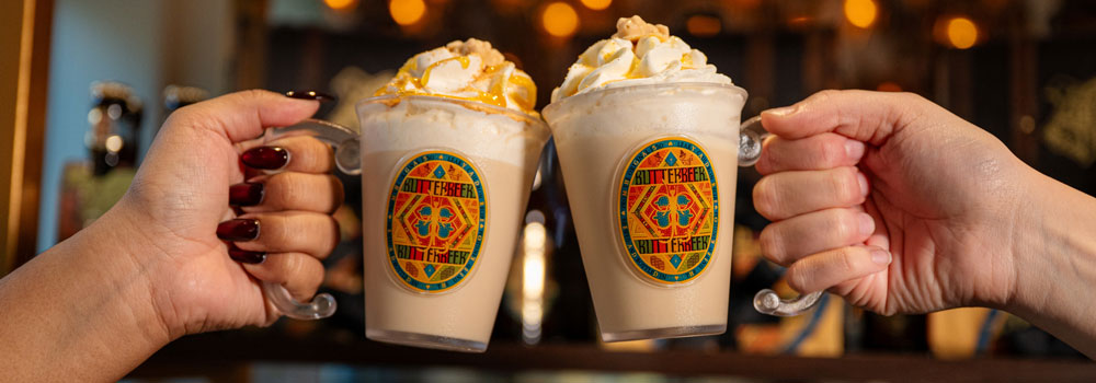 Accio Holidays! Harry Potter Shops in New York & Chicago Unveil Festive Magic