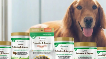 NaturVet Featured on CBS’s Lucky Dog: Reunions with Brandon McMillan