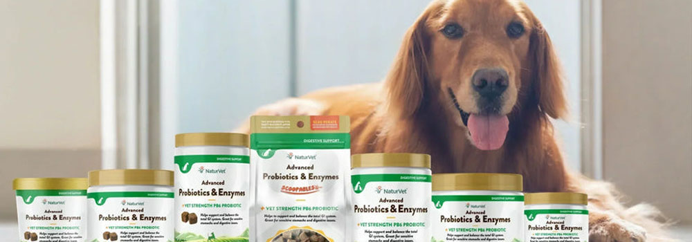 NaturVet Featured on CBS’s Lucky Dog: Reunions with Brandon McMillan