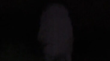 DON'T LOOK IN THE DARK