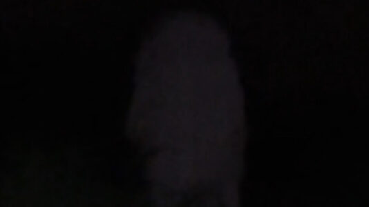 DON'T LOOK IN THE DARK