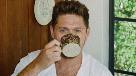 Niall Horan Announces Dinner Party