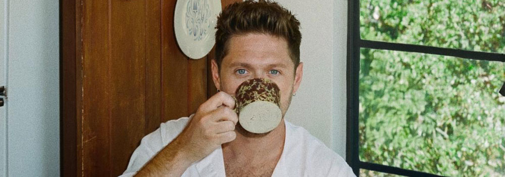 Niall Horan Announces Dinner Party
