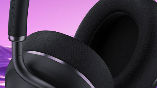 Turtle Beach