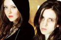 Ginger Snaps