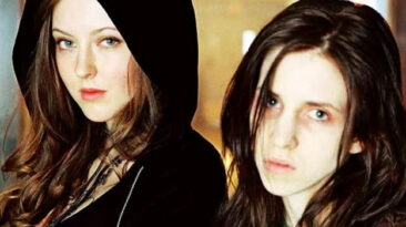 Ginger Snaps