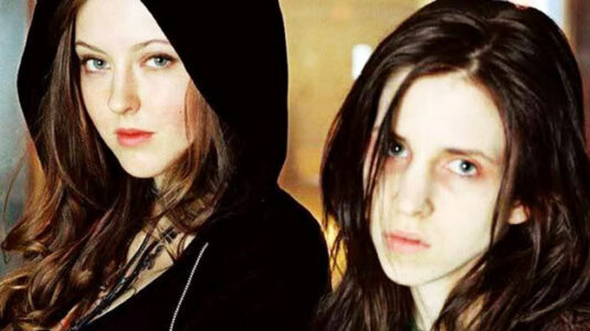 Ginger Snaps