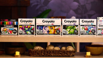 Crayola All Grown Up