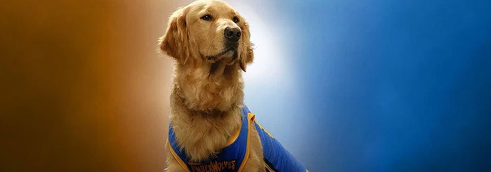 Air Bud Is Back — And This Time, Your Dog Is Invited
